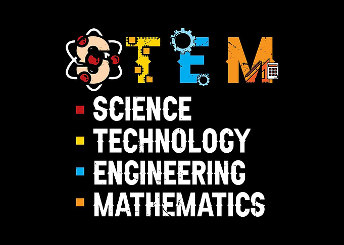Steminist Stem