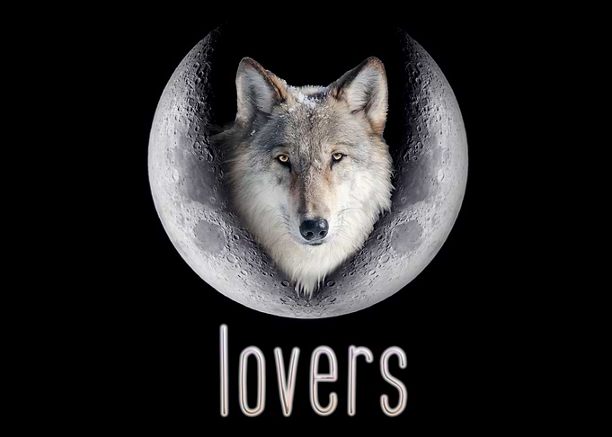 Wolf howling at the moon