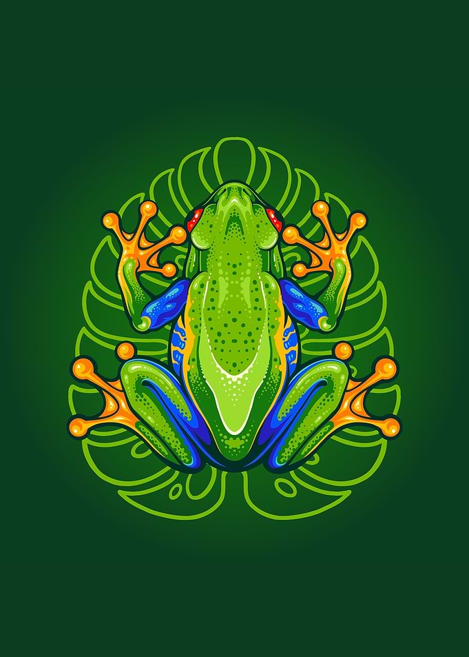 Frog on leaf