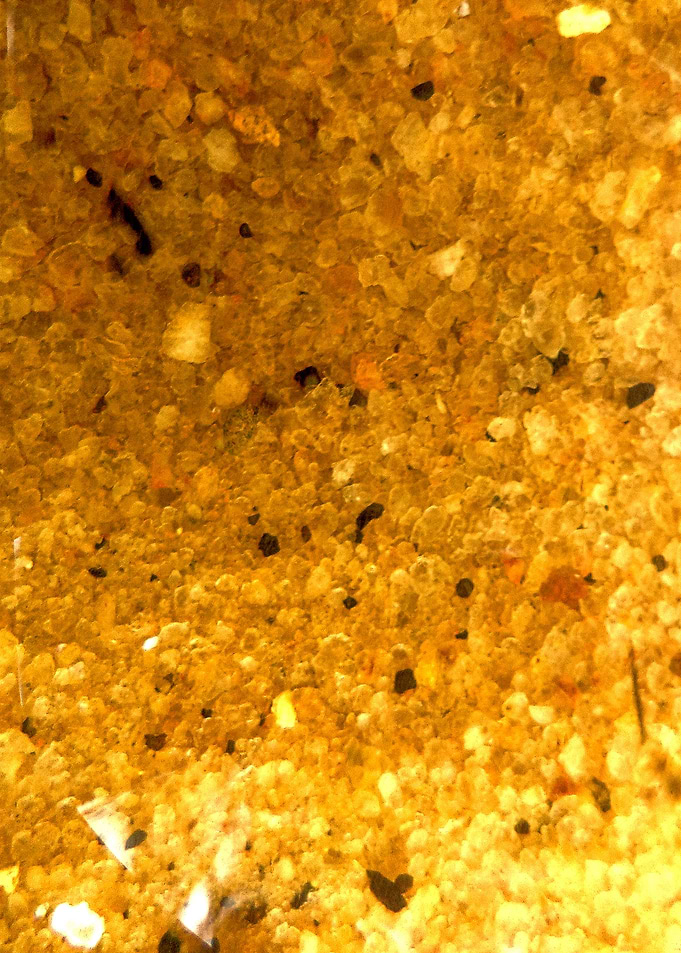 Deep Ocean Gold 2
