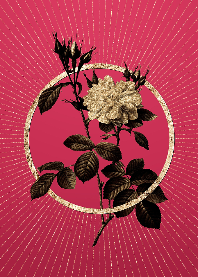 Gold Autumn Damask Rose