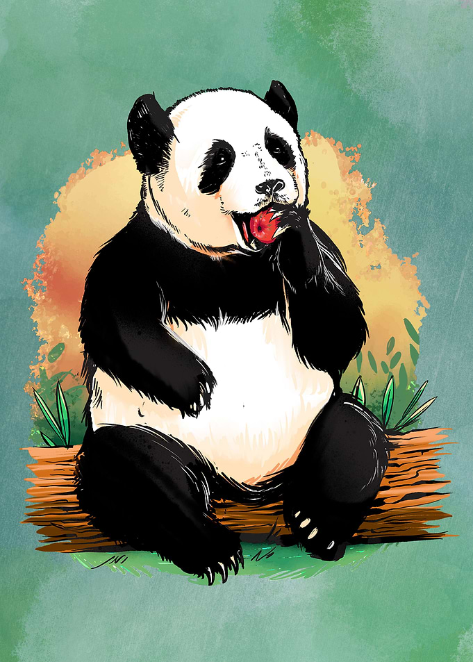Funny Panda Bear