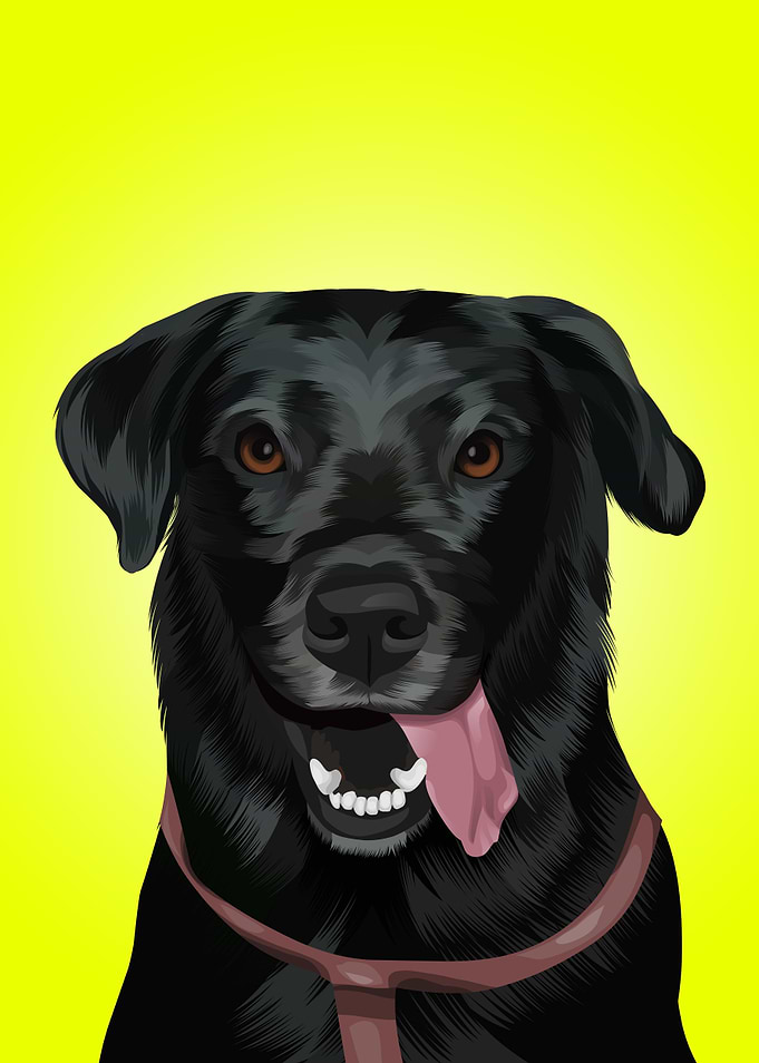 DOG VEKTOR