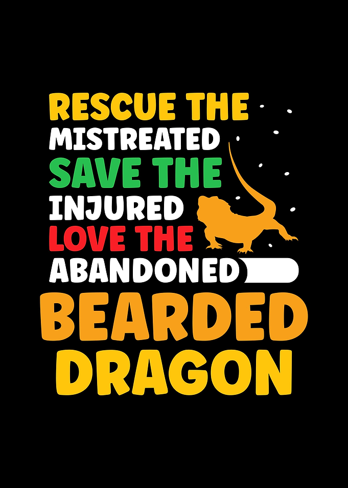 Bearded Dragon
