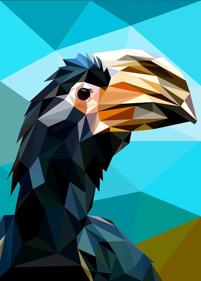 Hornbill