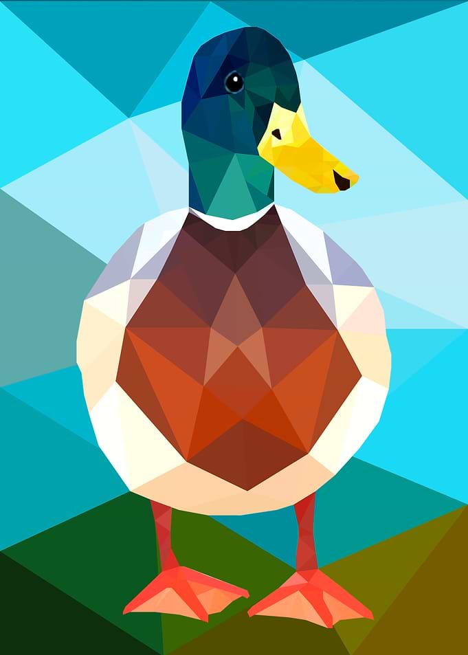 Duck