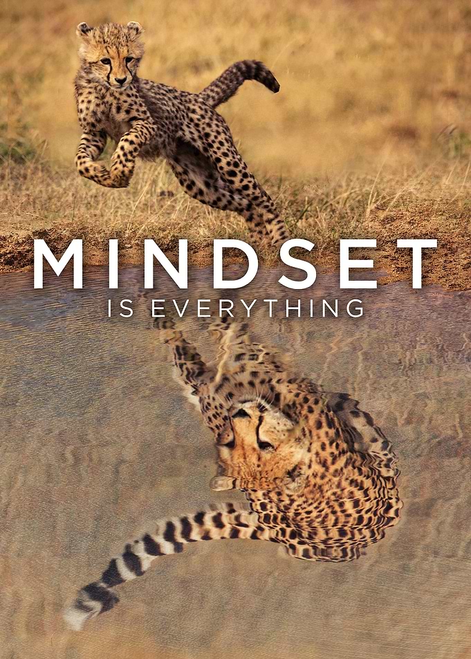 Cheetah Running Mindset