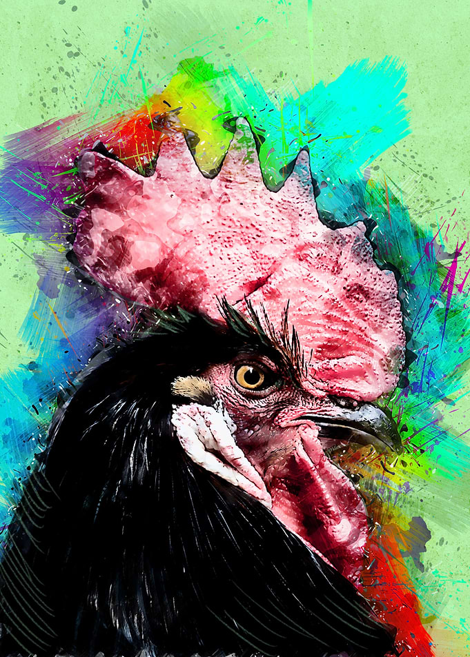 Rooster 260