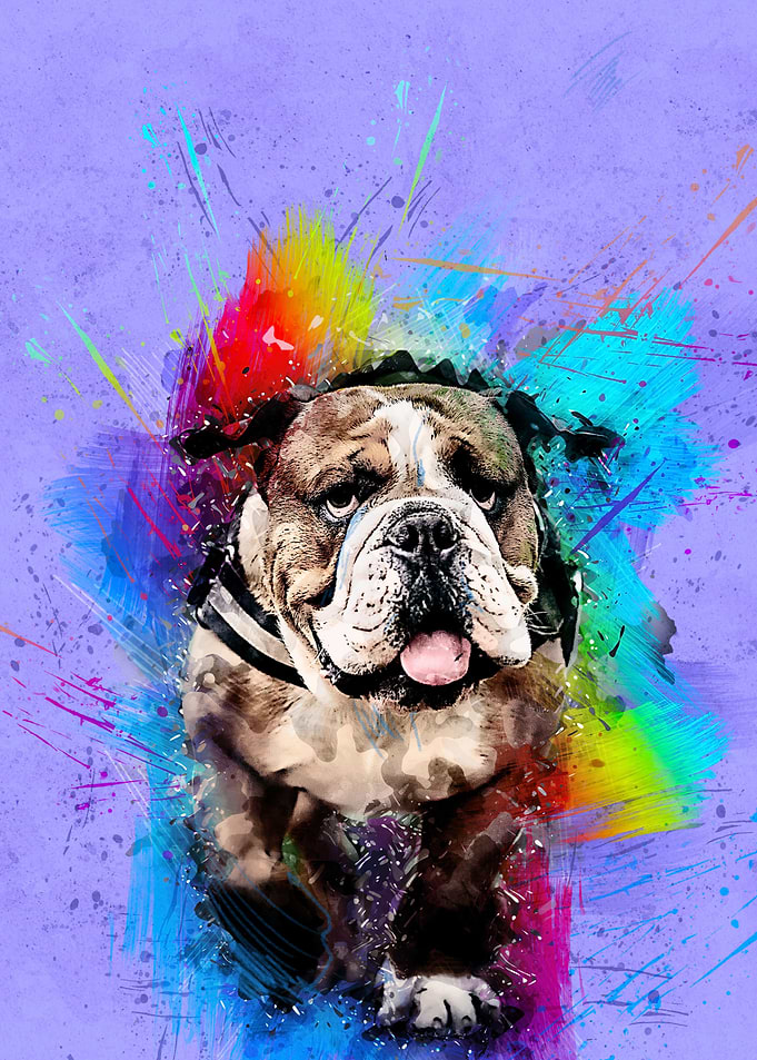 Dog 252