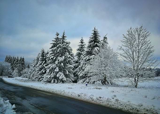 snowy way