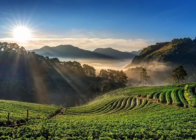 Landscapes