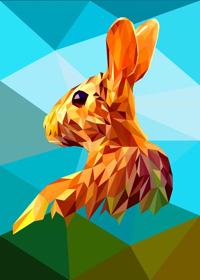 Rabbit