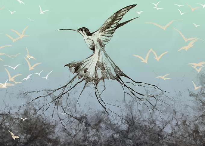 Freedom