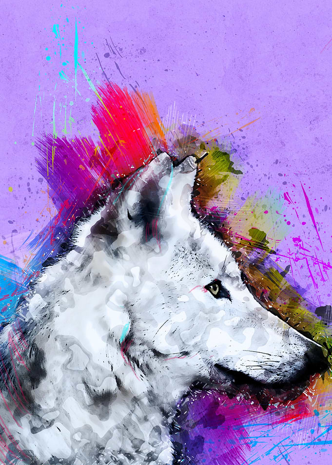 Dog 257