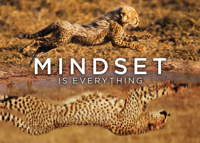 Cheetah Running Mindset