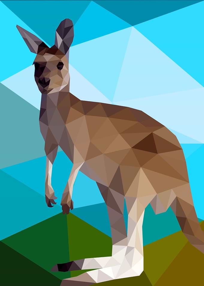 Kangaroo