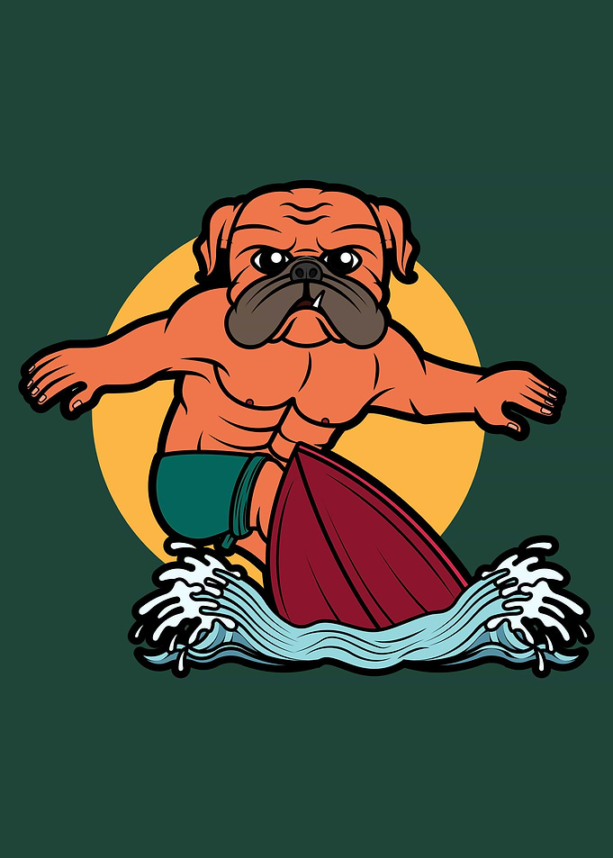 Cute pug dog surfing