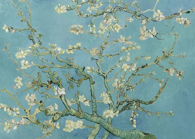 Almond Blossom