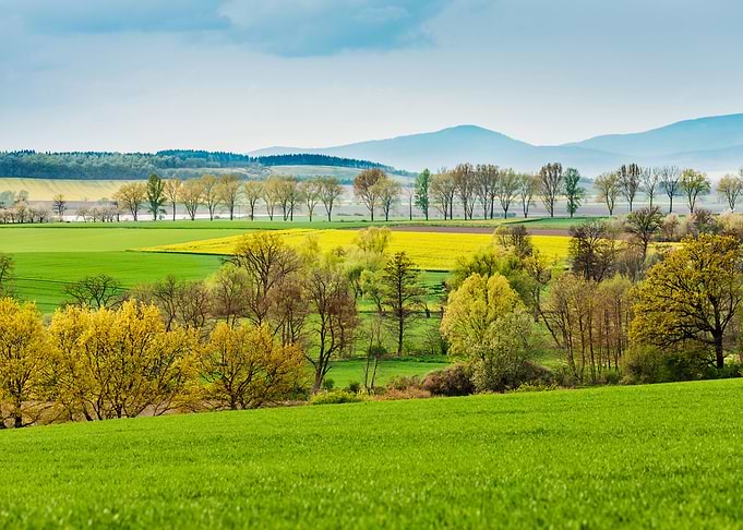 Landscapes