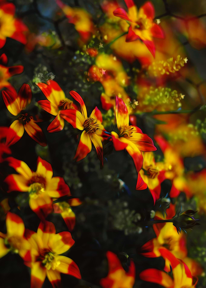 Forest Flowers