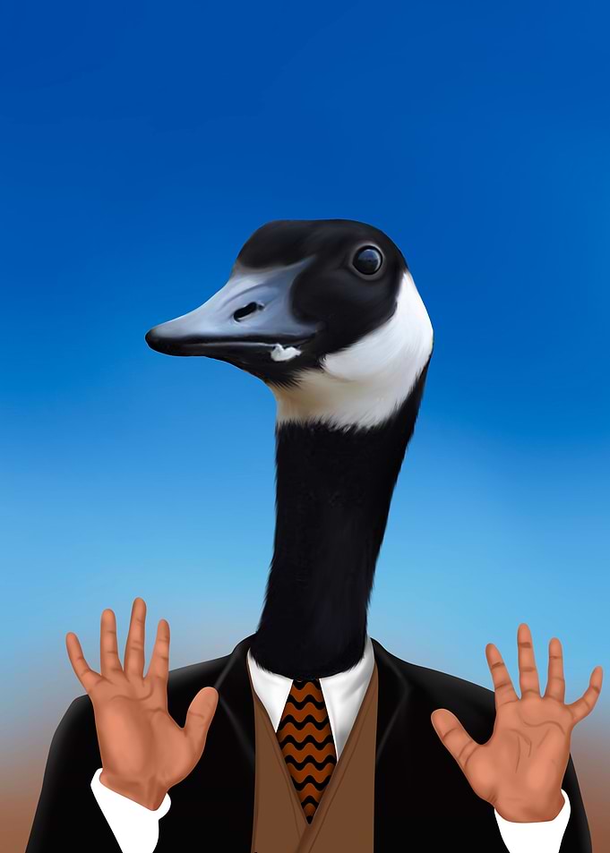 duck meme