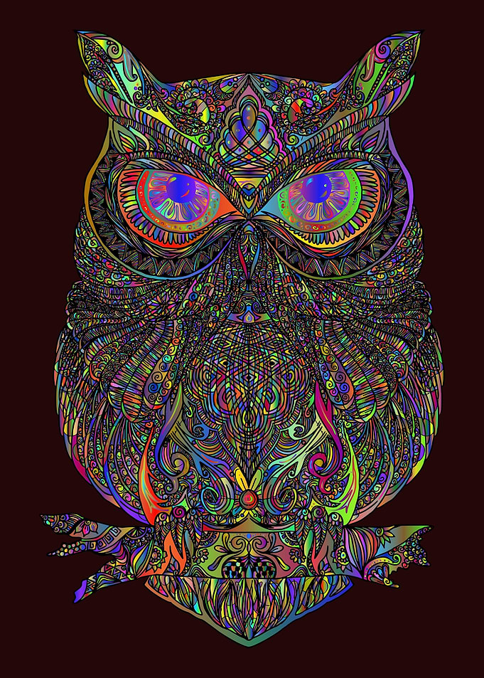 Owl Lovers Art 29