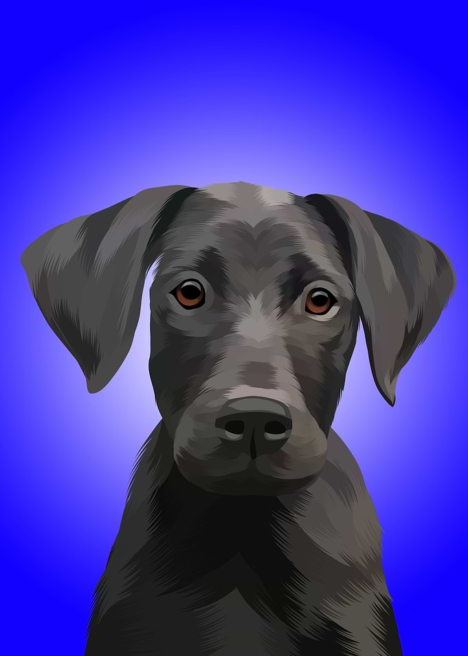 DOG VEKTOR