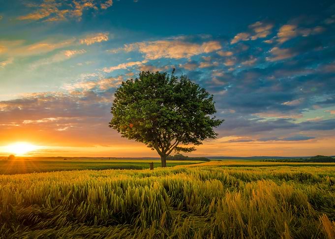 Landscapes