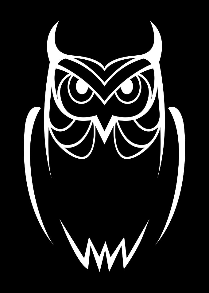 Owl Lovers Art 21
