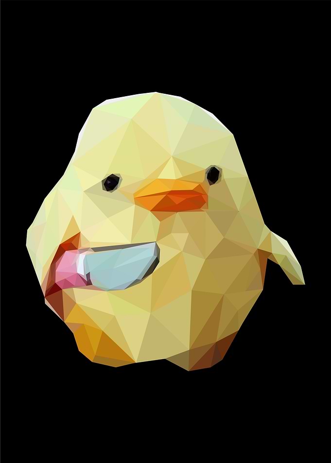 dont duck with me meme
