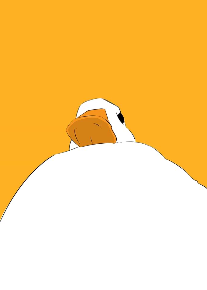 lovely duck