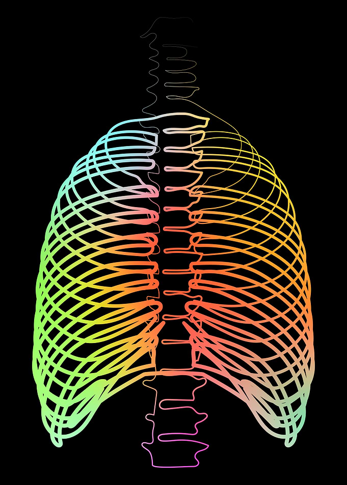 Chest