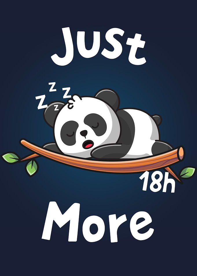 Panda Sleeping Just 18h