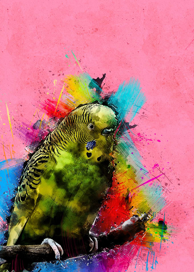 Parrot 256