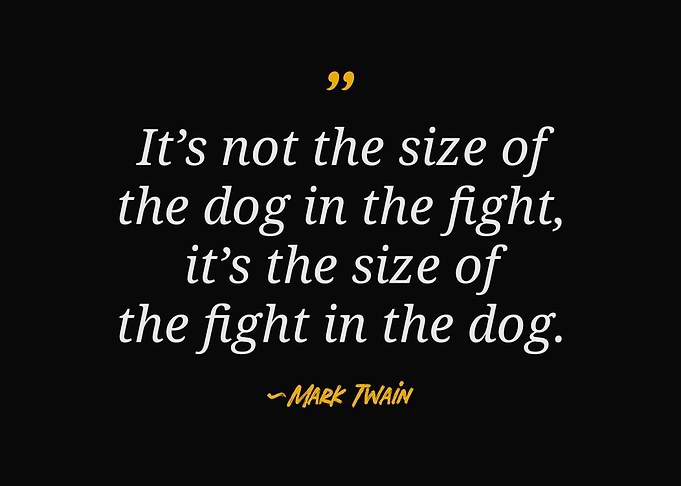 Mark Twain Quotes