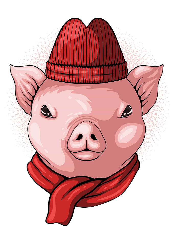 Funny Pig