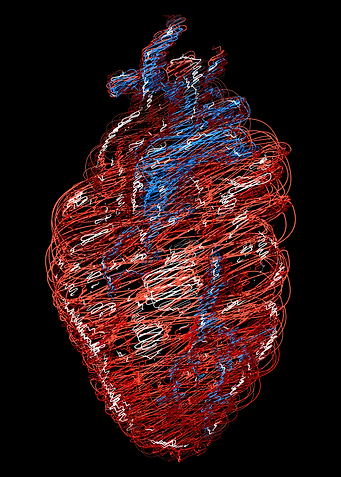 Heart
