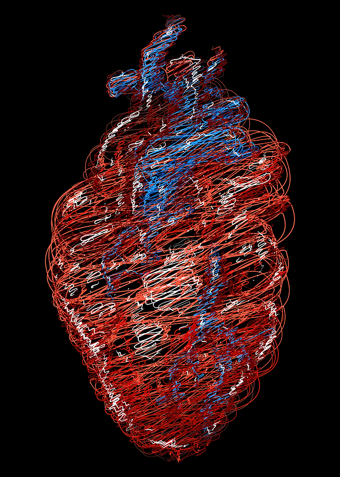Heart