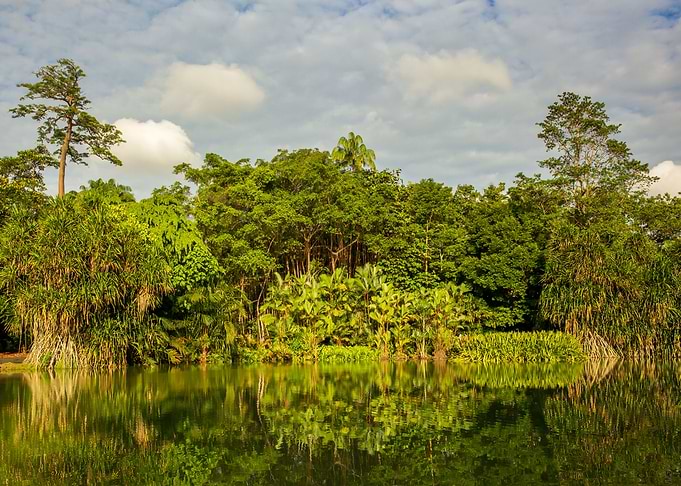 Singapore Botanic Gardens