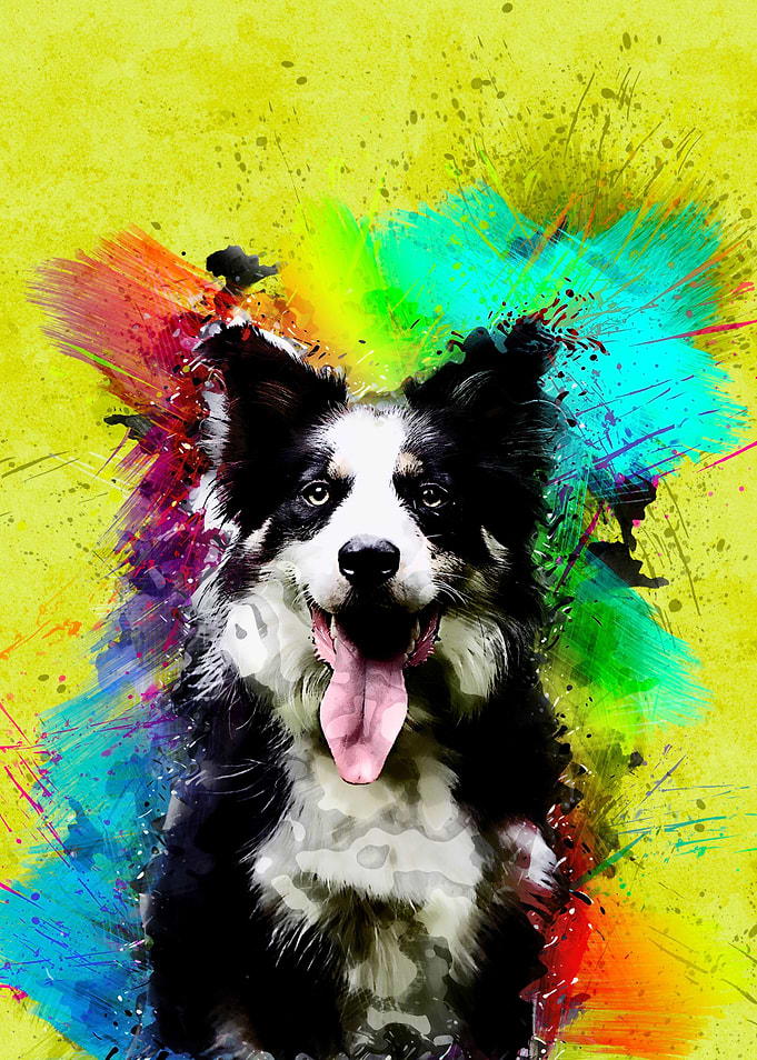 Dog 259