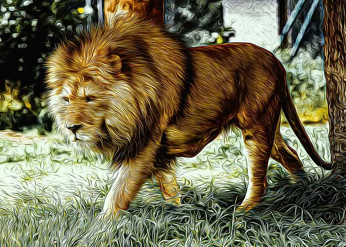 Lion