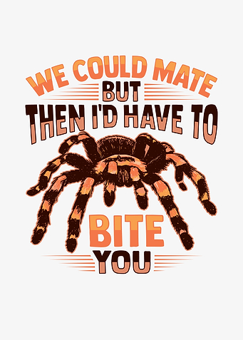 Tarantula Terrarium Design