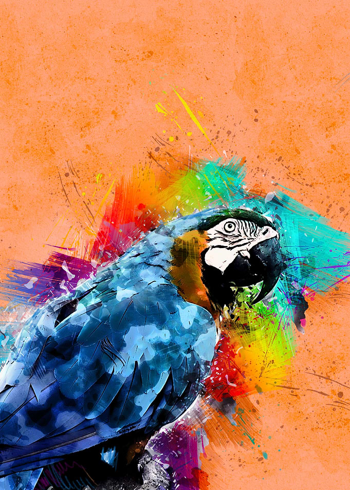 Macaw 251