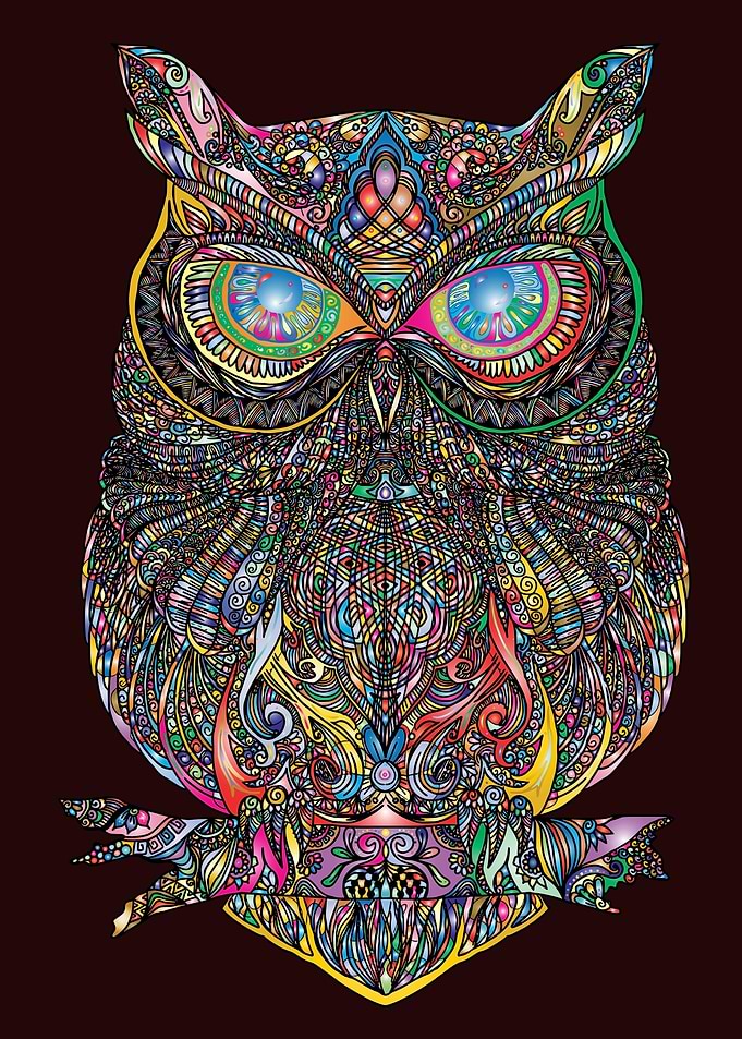 Owl Lovers Art 28
