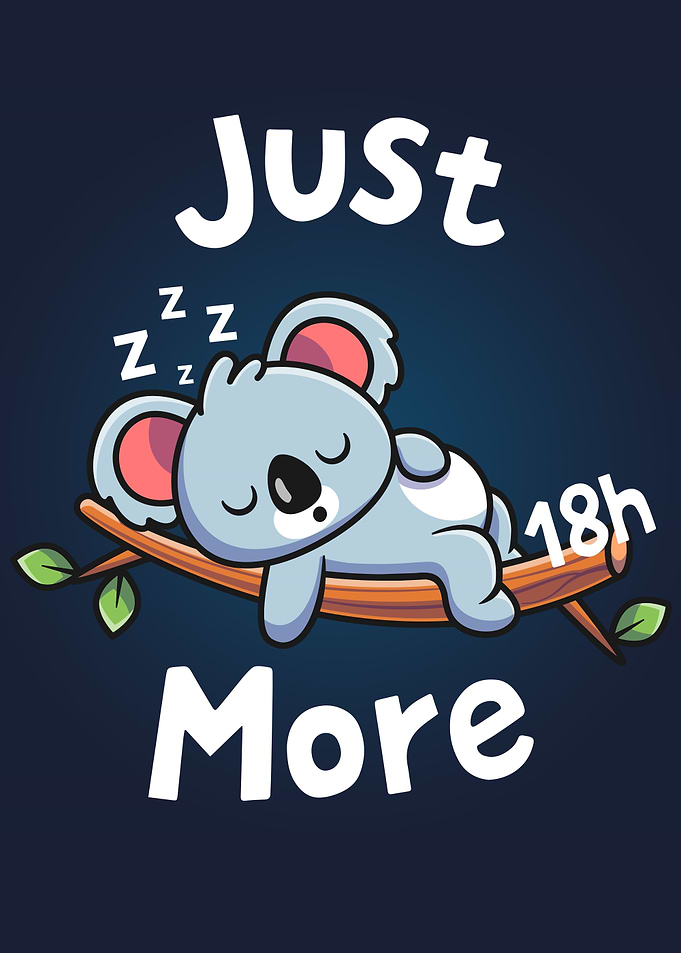 Koala Sleeping Just 18h
