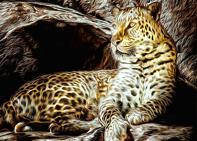 Jaguar