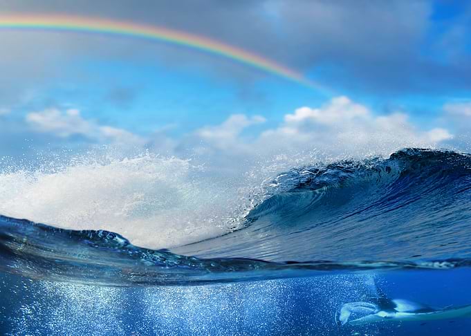 ocean