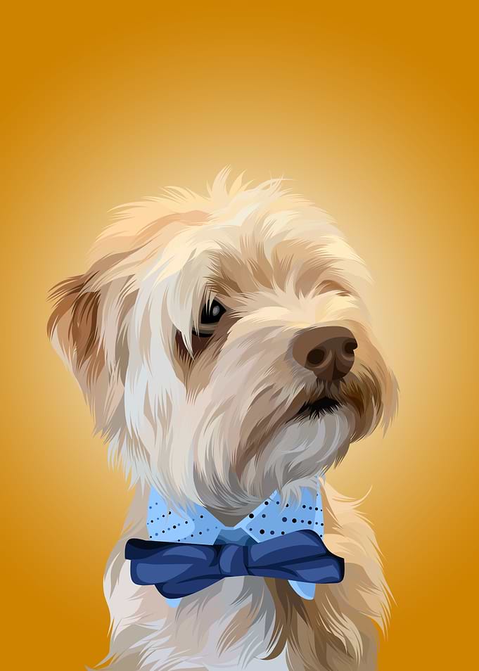 DOG VEKTOR