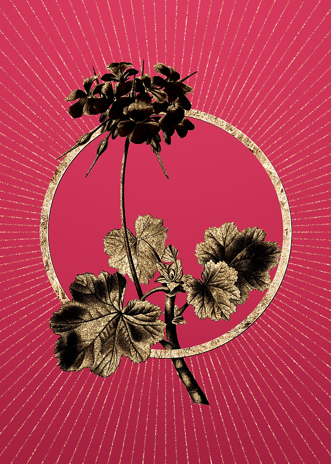 Gold Scarlet Geranium