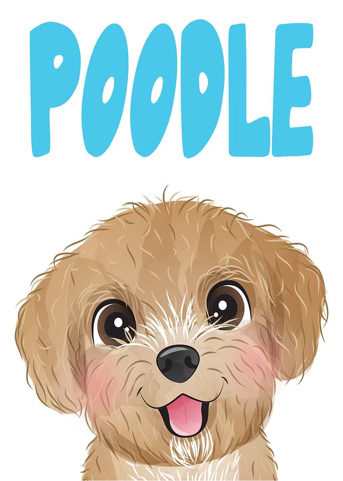 Poodle